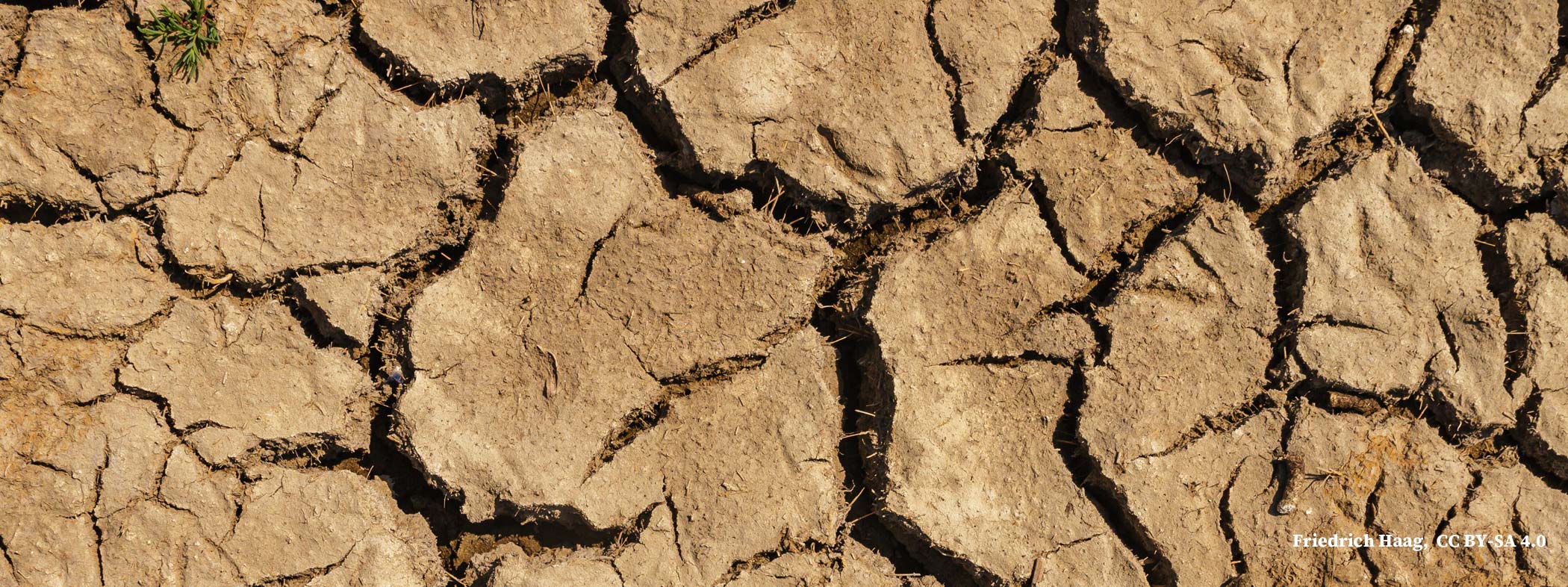 dry land